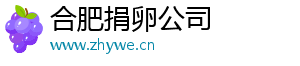合肥捐卵公司	